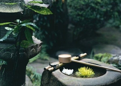 搜索身边禅意,让我们如一汪清水般,开始静心冥想.
